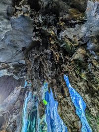 Full frame shot of tree trunk