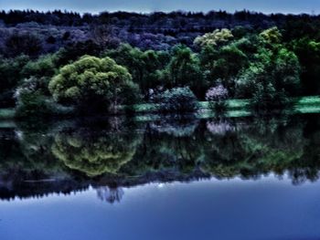 Scenic view of lake against trees in forest