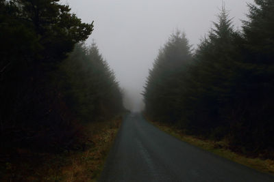 Road amidst trees against clear sky