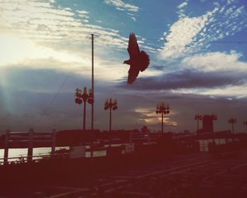 Silhouette horse against sky during sunset