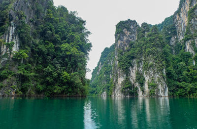 Scenic view of lake by trees against sky