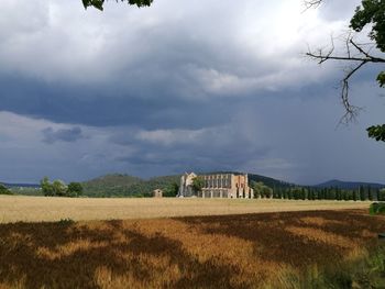 Scenic view of field against sky