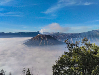 View of trees on mountain against cloudy sky