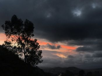 Silhouette trees against dramatic sky during sunset