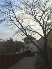 Bare trees and houses against sky