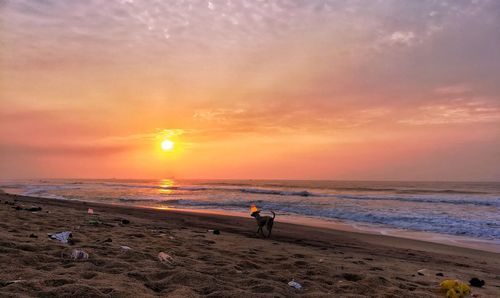 People standing on beach against sky during sunset