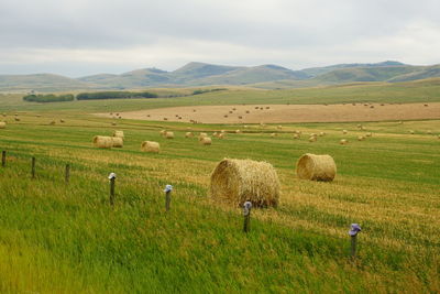 Hay bales on field against sky