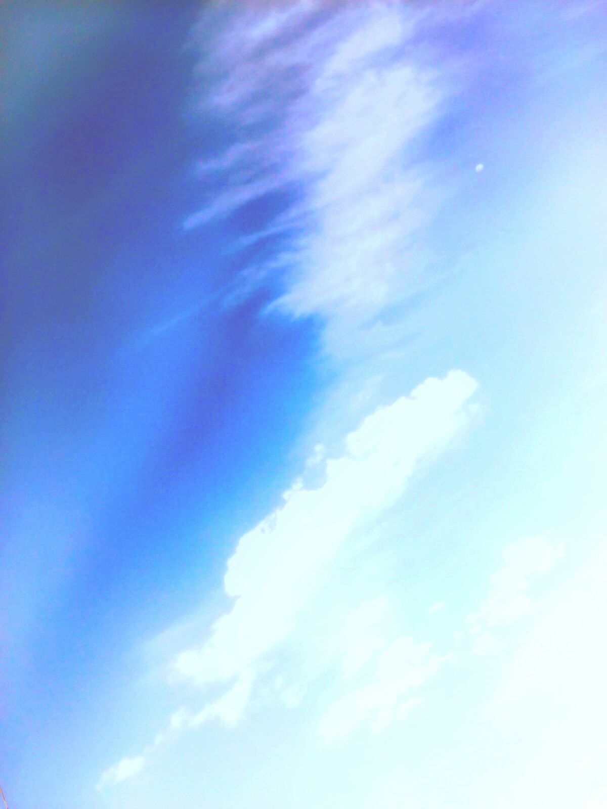 Angelicate sky