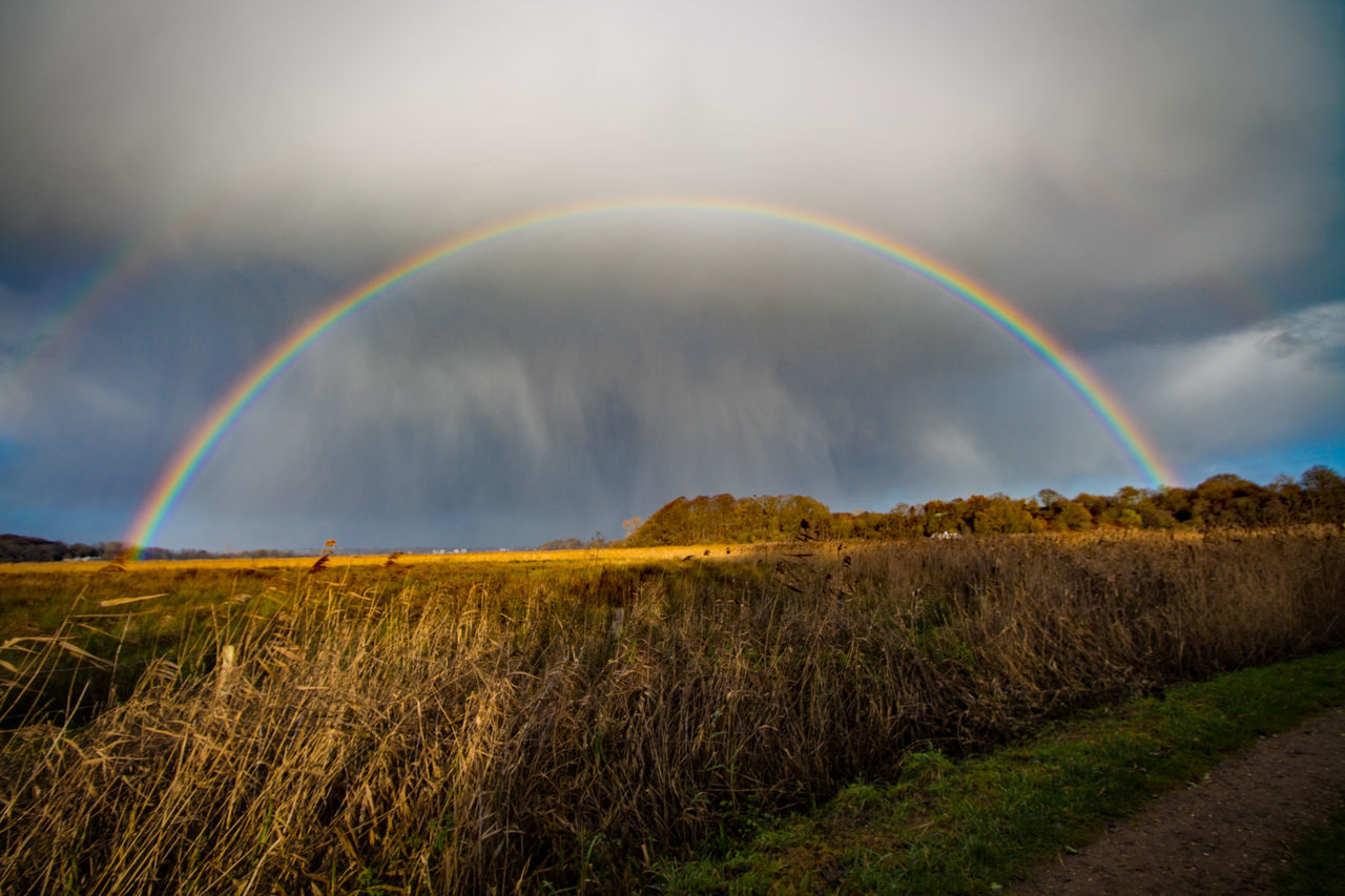 rainbow, landscape, field, sky, grass, multi colored, scenics, tranquil scene, beauty in nature, tranquility, nature, rural scene, cloud - sky, idyllic, weather, grassy, green color, outdoors, cloudy, growth