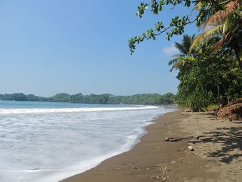 Scenic view of beach against clear sky
