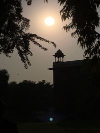 Silhouette of bird on a tree