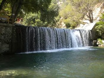 View of waterfall in forest