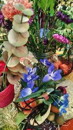 Close-up of flowers