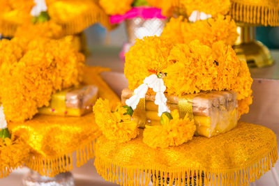 Close-up of yellow bell peppers