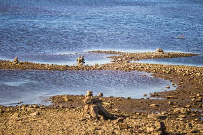 Sunny riverside landscape of a dried river bed and rocks. 