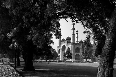 Trees by historic building against sky