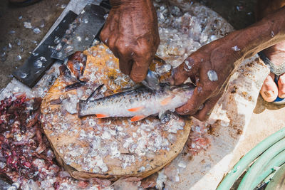 High angle view of fish on cutting board