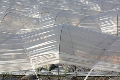 Low angle view of greenhouse