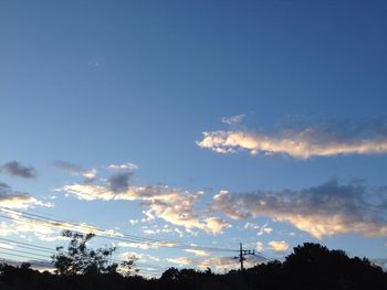 Low angle view of trees against cloudy sky