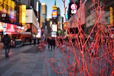Close-up of artificial dried plant on street at times square