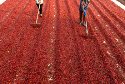 Low section of people running on red road