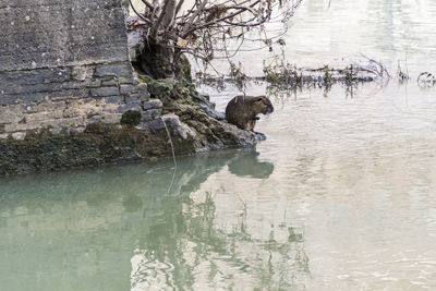 View of drinking water from lake