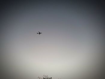Low angle view of airplane flying in sky