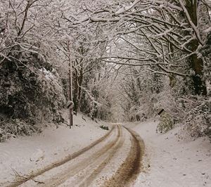 Road amidst bare trees during winter