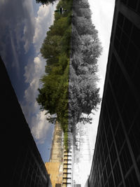 Low angle view of trees against sky