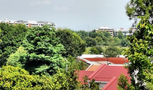 Trees and buildings against sky