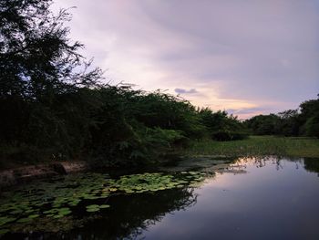 Scenic view of lake against sky during sunset