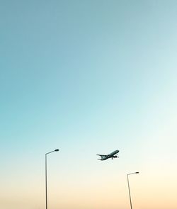 Low angle view of silhouette birds flying in sky