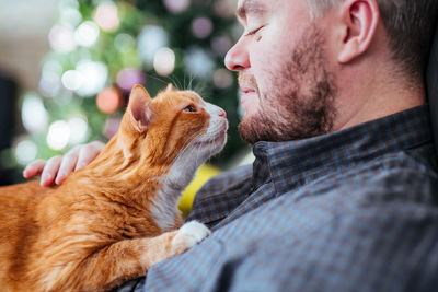 Redd cat lies on its owner. human and pet. cat bothering while a person using a smartphone