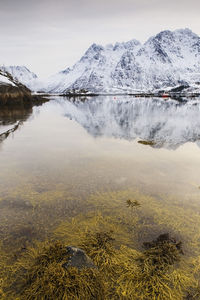 Scenic view of lake by snowcapped mountains against sky
