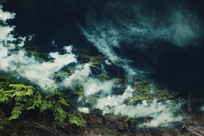 Scenic view of waterfall in forest