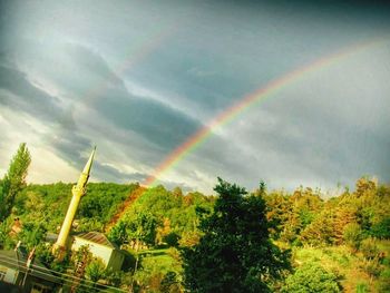 Low angle view of rainbow over trees