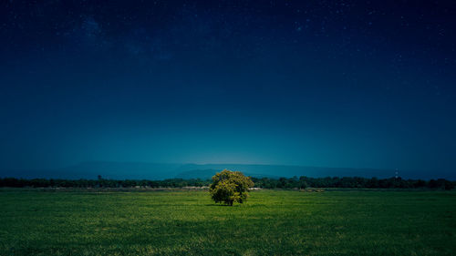 Scenic view of field against sky at night