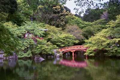 Footbridge over water against trees