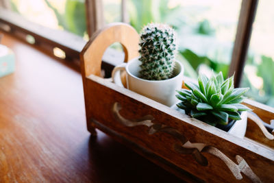 High angle view of potted plant on table