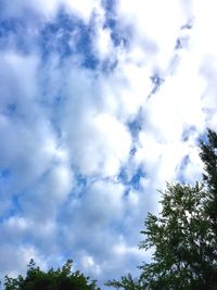 Low angle view of trees against cloudy sky