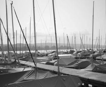 Sailboats moored at harbor
