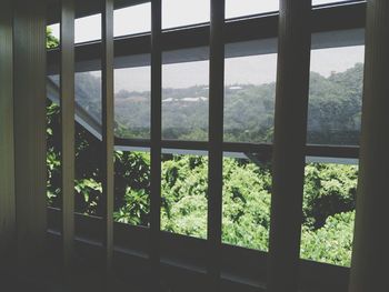 View of building through window