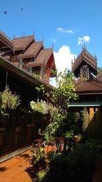 Potted plants outside building against sky