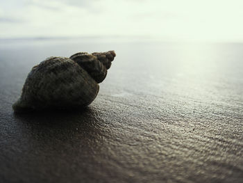 Close-up of sea against sky at beach