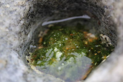 High angle view of meat in container