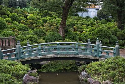 Bridge over canal in park