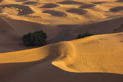 Scenic view of sand dunes in desert