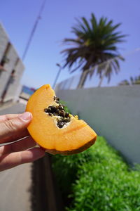 Close-up of hand holding orange fruit