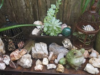 High angle view of flowers in basket