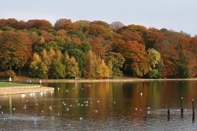 Scenic view of lake by trees against sky